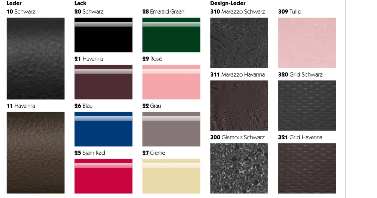 Innenleder-Varianten in Leder, Lack und Design-Leder (Katalog-Ausschnitt)