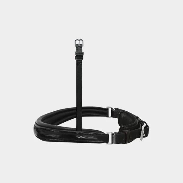 Anatomischer Wechselnasenriemen Reithalfter Spezial mit Lackleder (Freisteller)