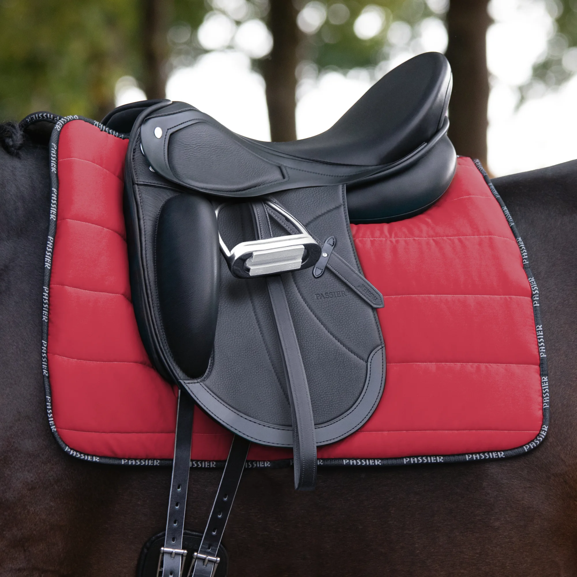 Grand Prix Special Dressur-Sattel auf dem Pferd