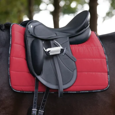 Grand Prix Special Dressur-Sattel auf dem Pferd