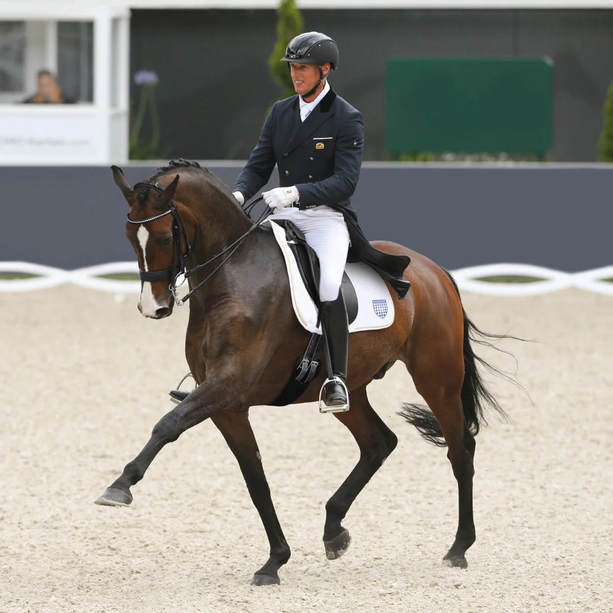 Patrick van der Meer, Passier Partner